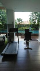 7 on Chapel (D15), Apartment #477880181